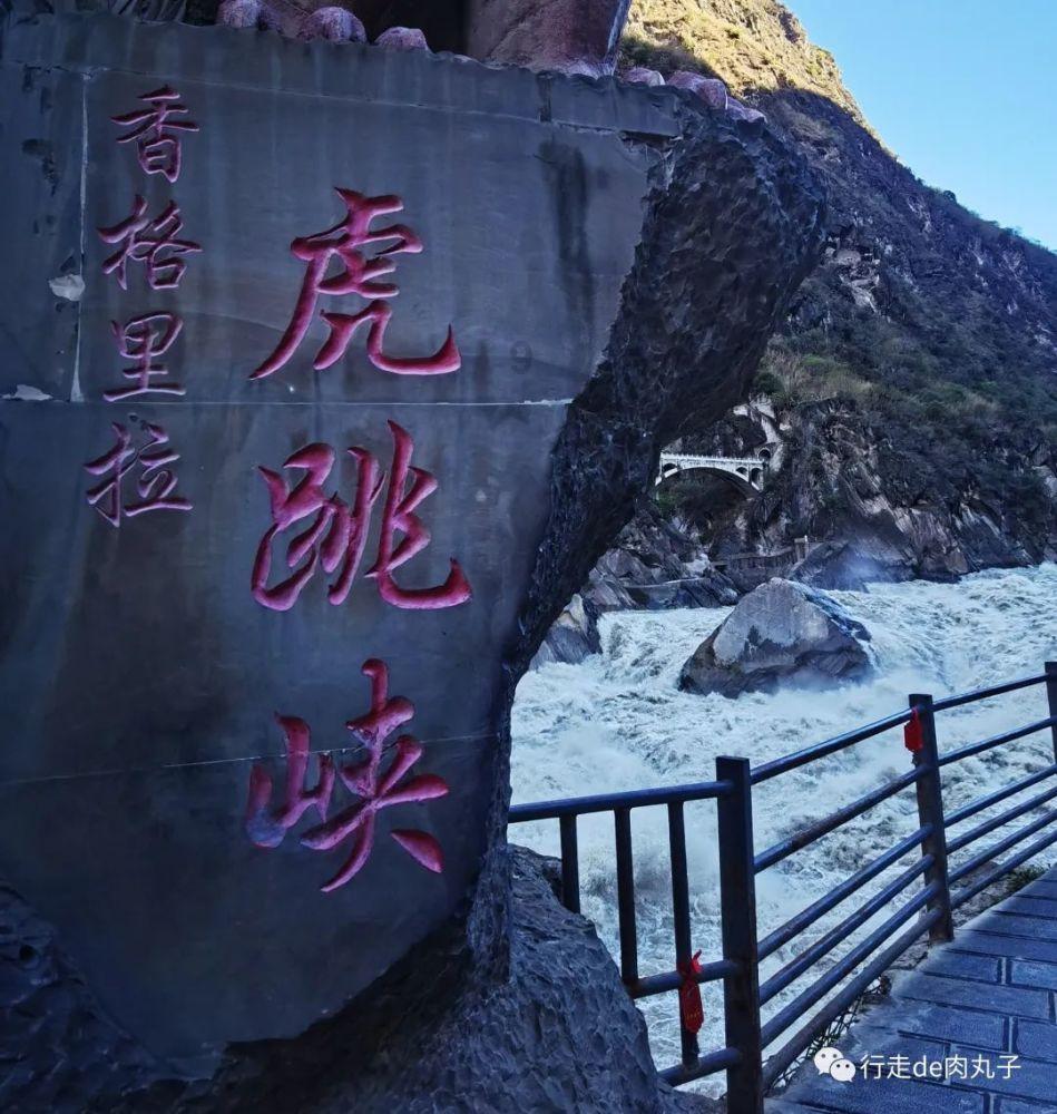 春雨直播app