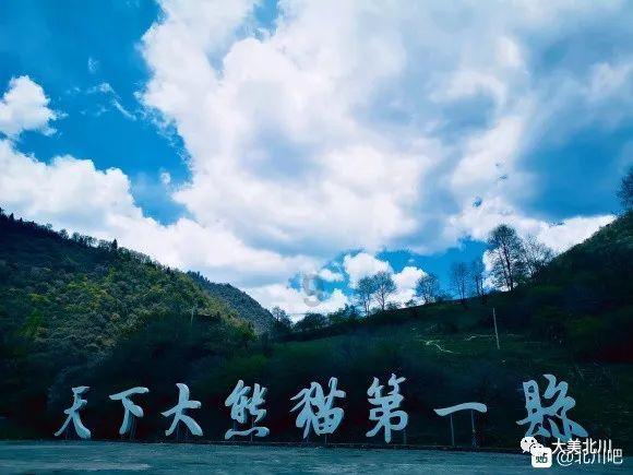 探秘吉鹿力,发现强国学习年度积分怎么算的奇妙世界