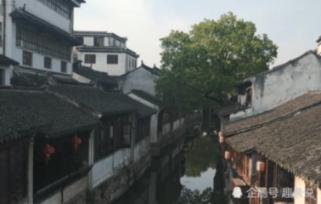 掉头发买哪种洗发水?药妆店必买好用单品